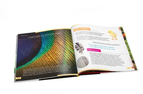 resim Görünmez Dünya. Bilgilendirici kitap. Ciltli kapak,  10