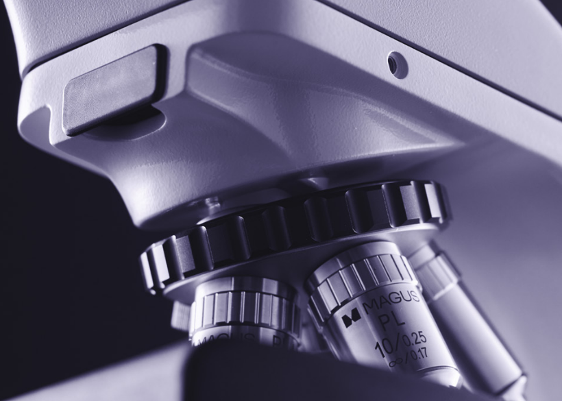 MAGUS in veterinary practice lvh_around_the_world_09_7jpg